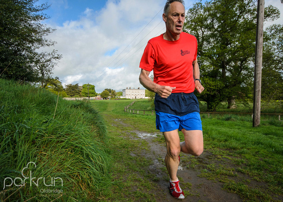 Oldbridge parkrun #101