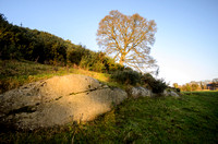 Winter Solstice 2016 at Dowth Passage Tomb