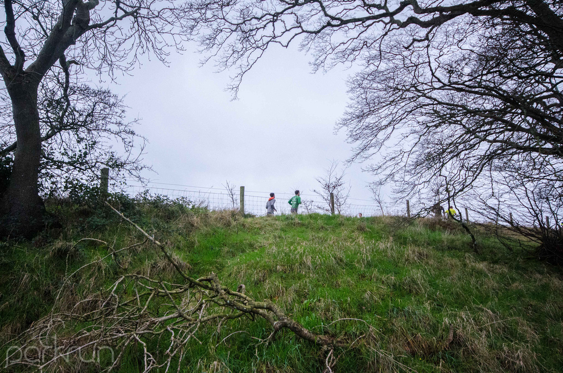 Oldbridge parkrun #235: 12th January 2019