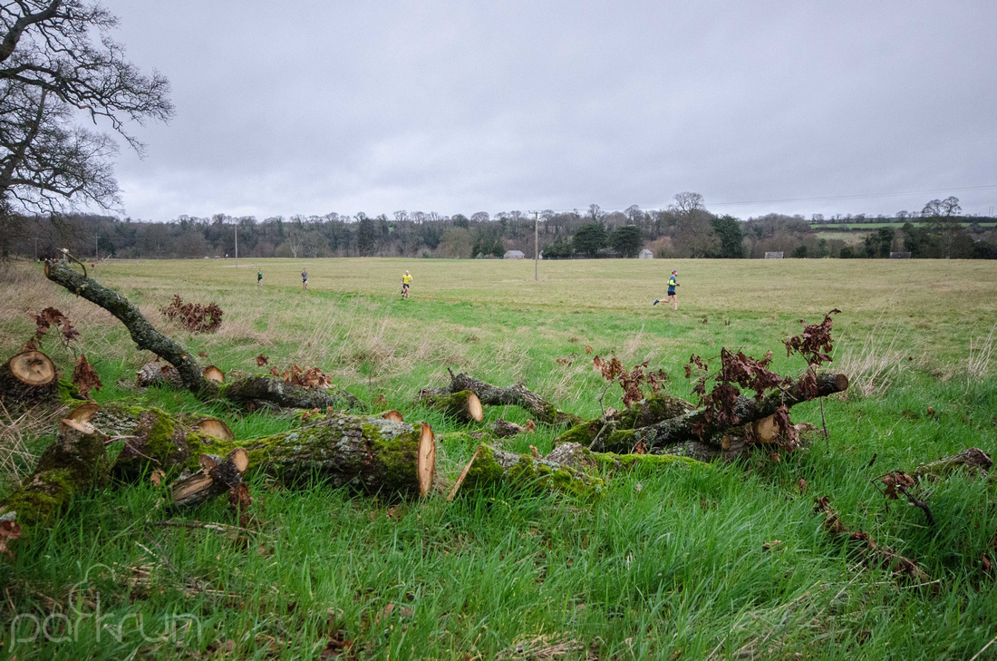 Oldbridge parkrun #235: 12th January 2019