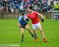 29th January 2017: Louth v Dublin, O'Byrne Cup Final