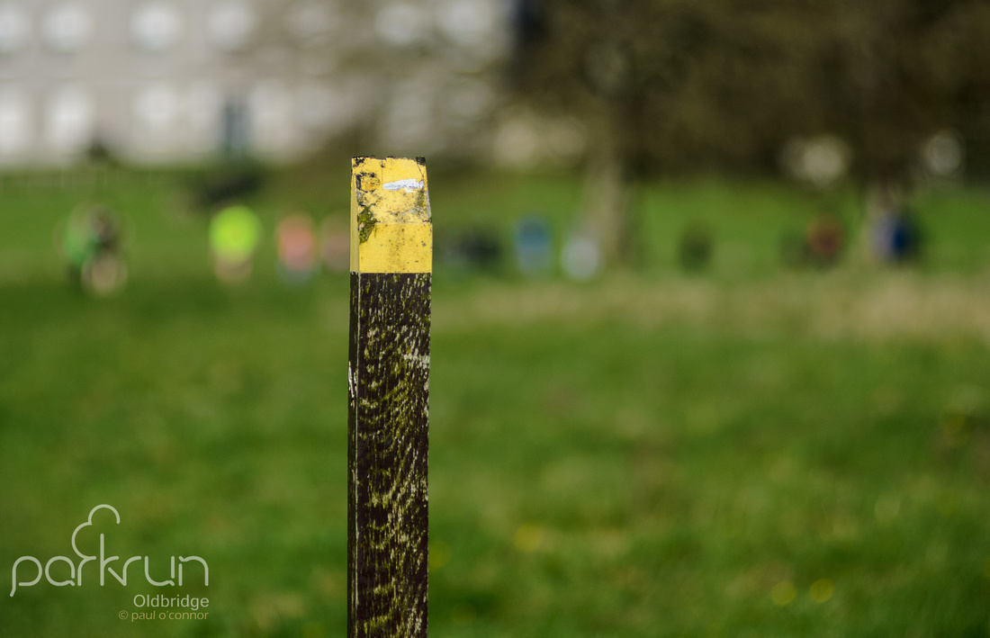 Oldbridge parkrun #147: Saturday April 8th 2017