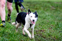 Oldbridge parkrun #183