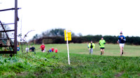 Oldbridge parkrun #183