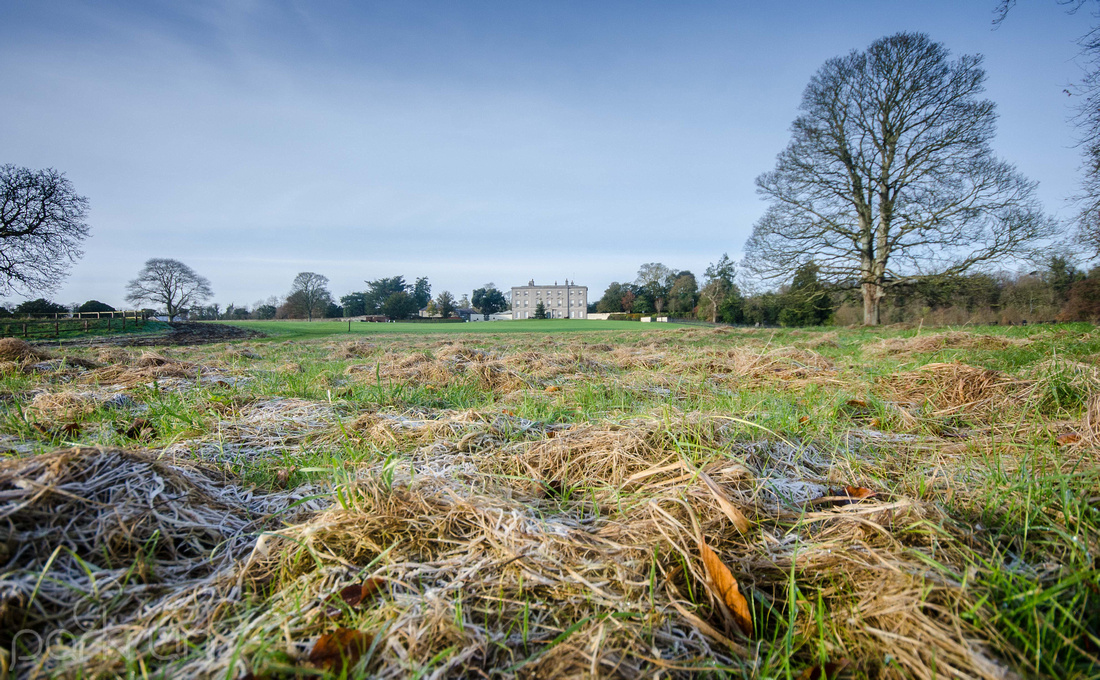 Oldbridge Estate