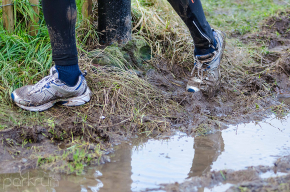 Oldbridge parkrun #183 on Saturday 6th January 2018