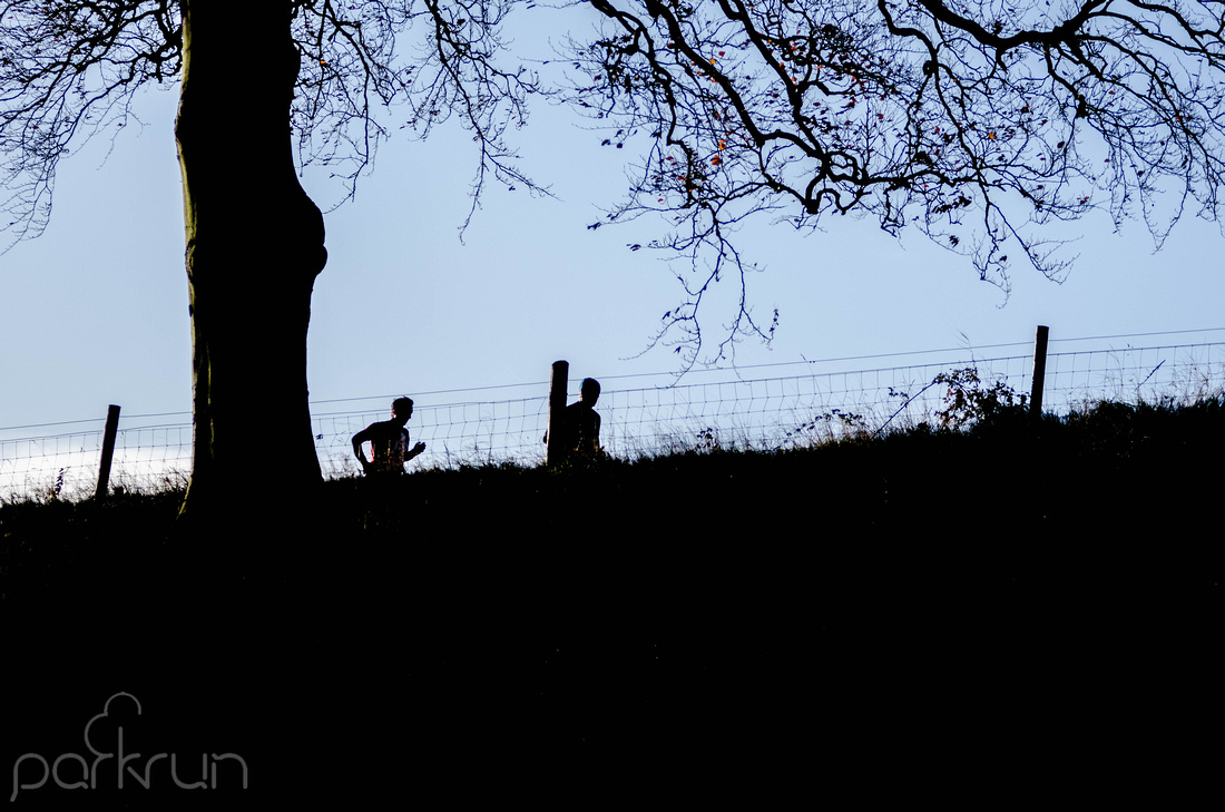 Oldbridge parkrun #179 on Saturday 25th November 2017