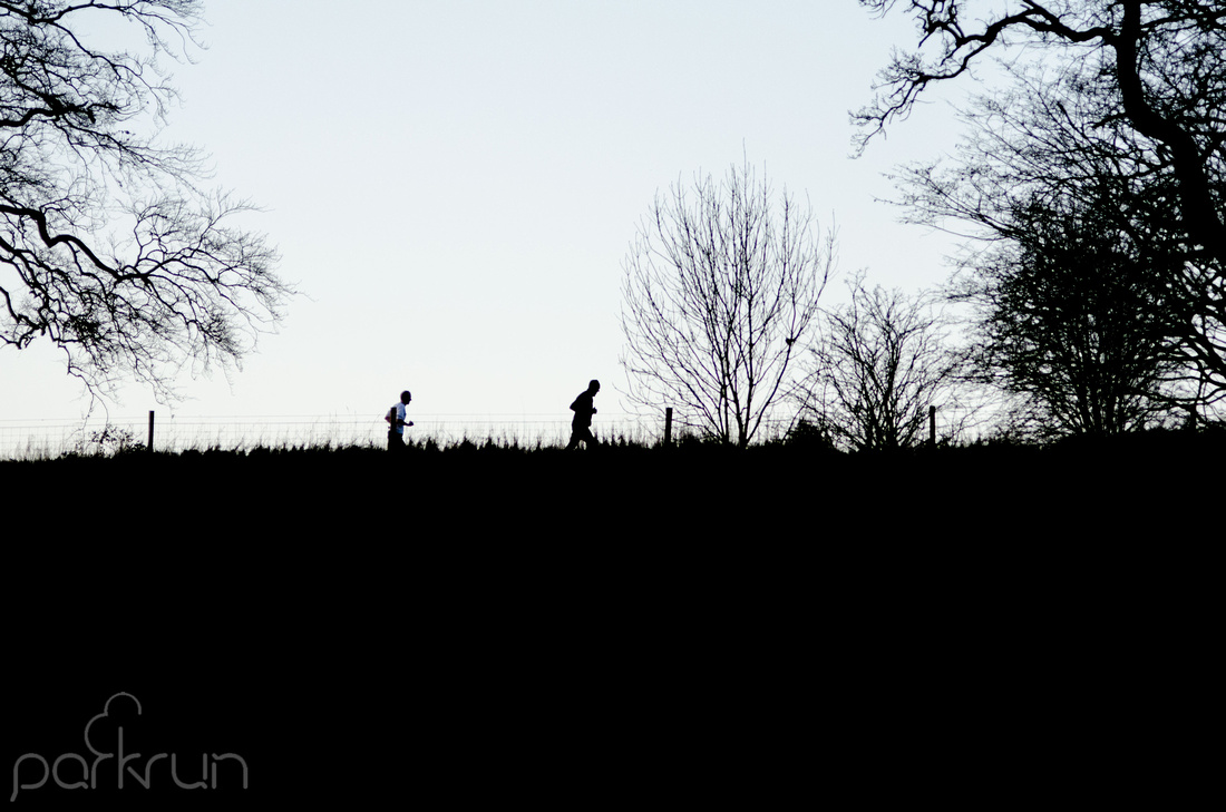 Oldbridge parkrun #234 which took place in Oldbridge Estate, Cou