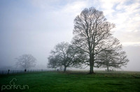 Oldbridge parkrun #236: 19th January 2019