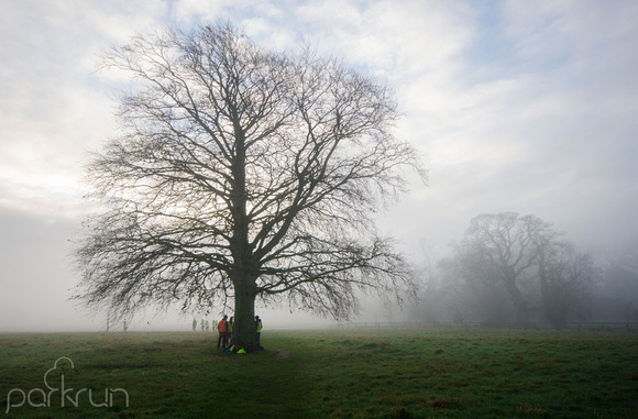 Oldbridge parkrun #236: 19th January 2019