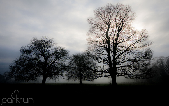 Oldbridge parkrun #236: 19th January 2019