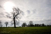 Oldbridge parkrun #246: 30th March 2019