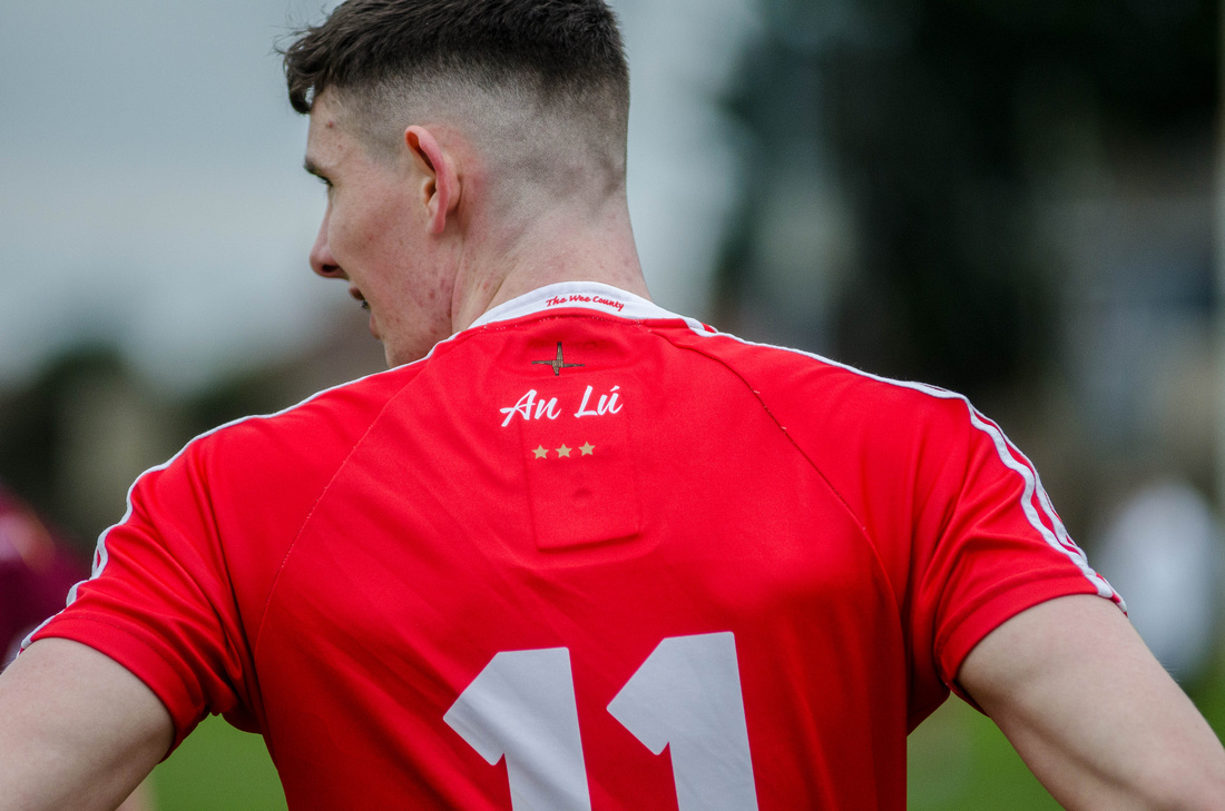 30th March 2019: Louth v Westmeath, Allianz National League Divi