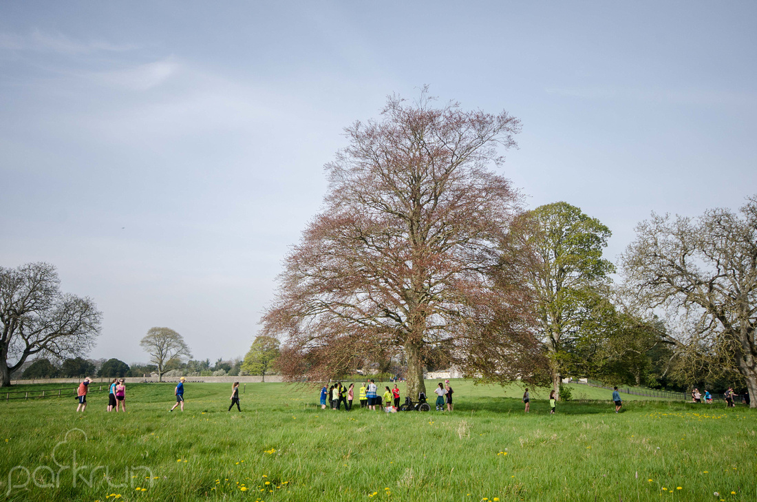 Oldbridge parkrun #249: 20th April 2019