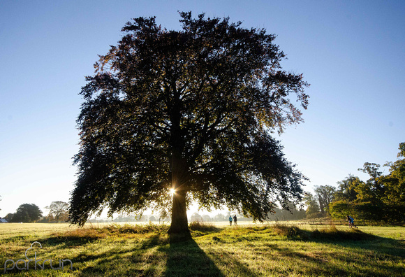 Oldbridge parkrun #300: 30th October 2021