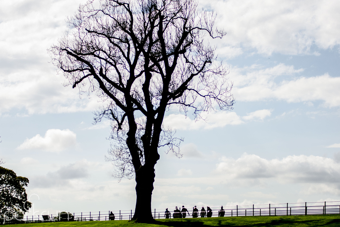 Oldbridge parkrun #252: 11th May 2019