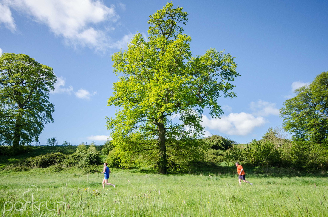 Oldbridge parkrun #252: 11th May 2019