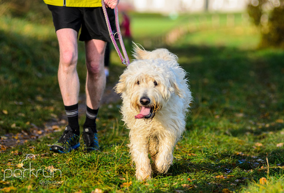 Oldbridge parkrun #126