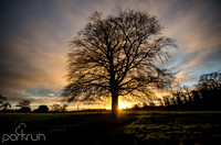 Oldbridge parkrun #286: 4th January 2020