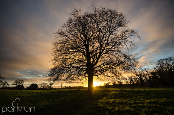 Oldbridge parkrun #286: 4th January 2020