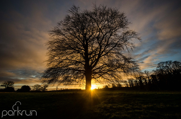 Oldbridge parkrun #286: 4th January 2020